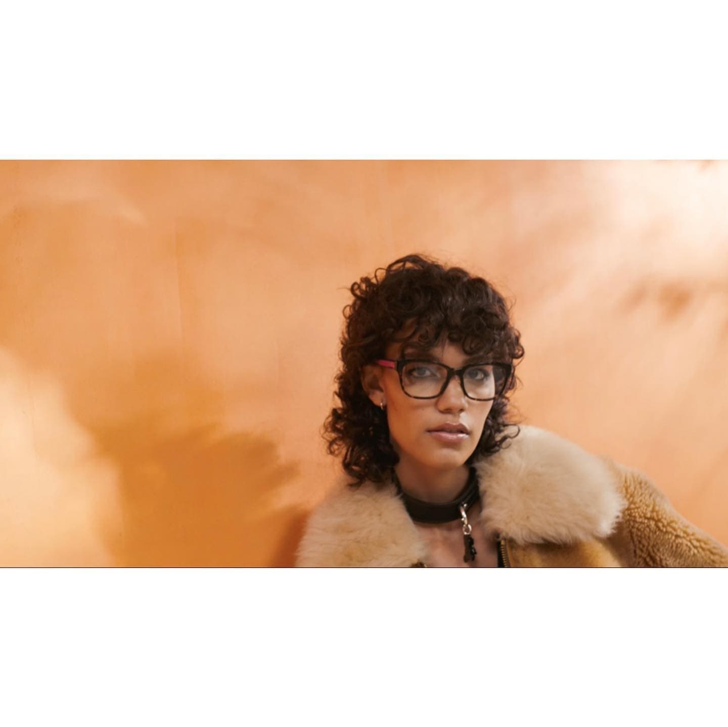 Coach Fall 22 Luxottica