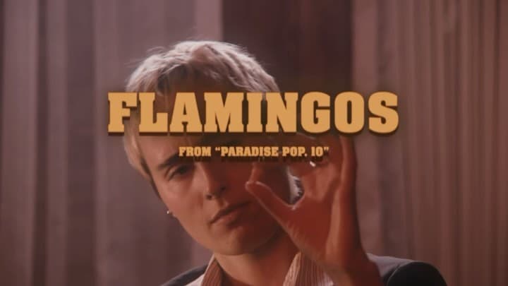 TIGER, FLAMINGO, and CANDY LAND for @christianleehutson Paradise Pop 10