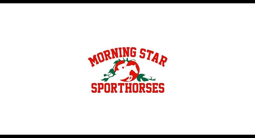 MORNING STAR SPORTHORSES