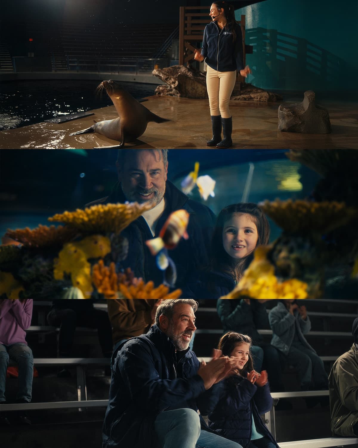 commercial · Dec 2024