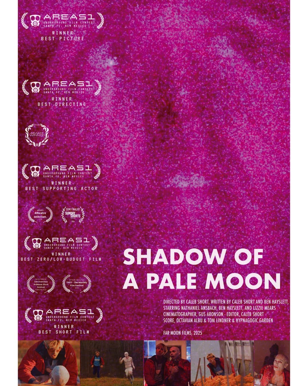 Shadow of a Pale Moon