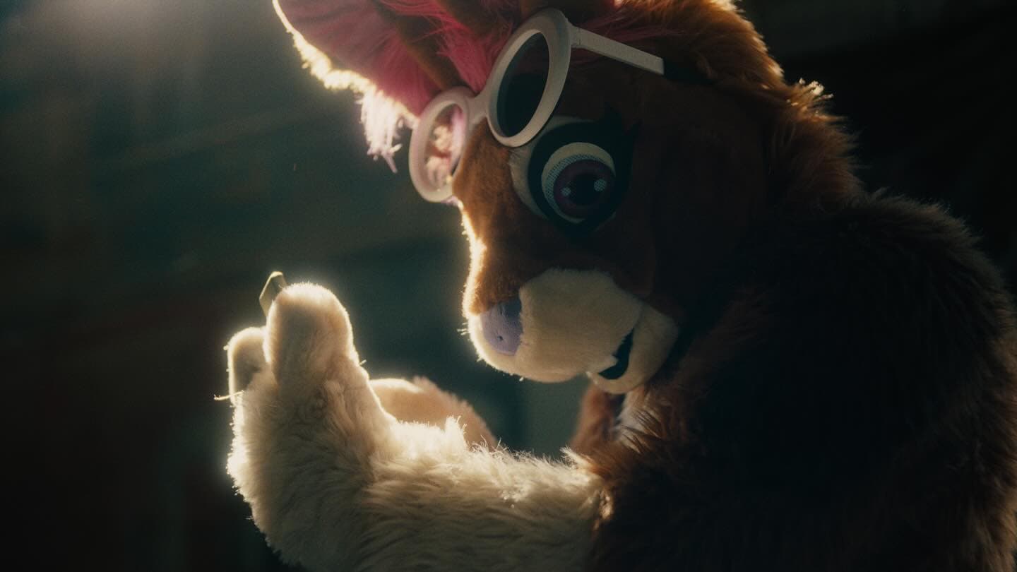 Buckle up, Furry Detectives