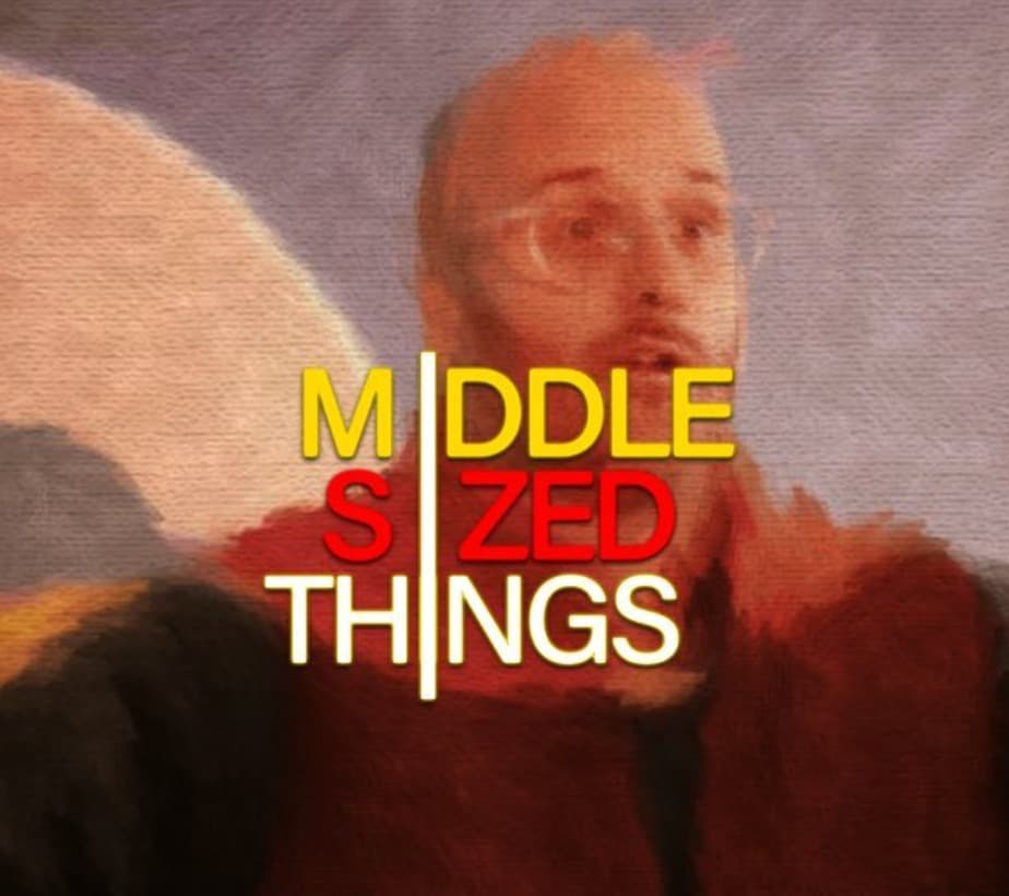 Middle Size Things