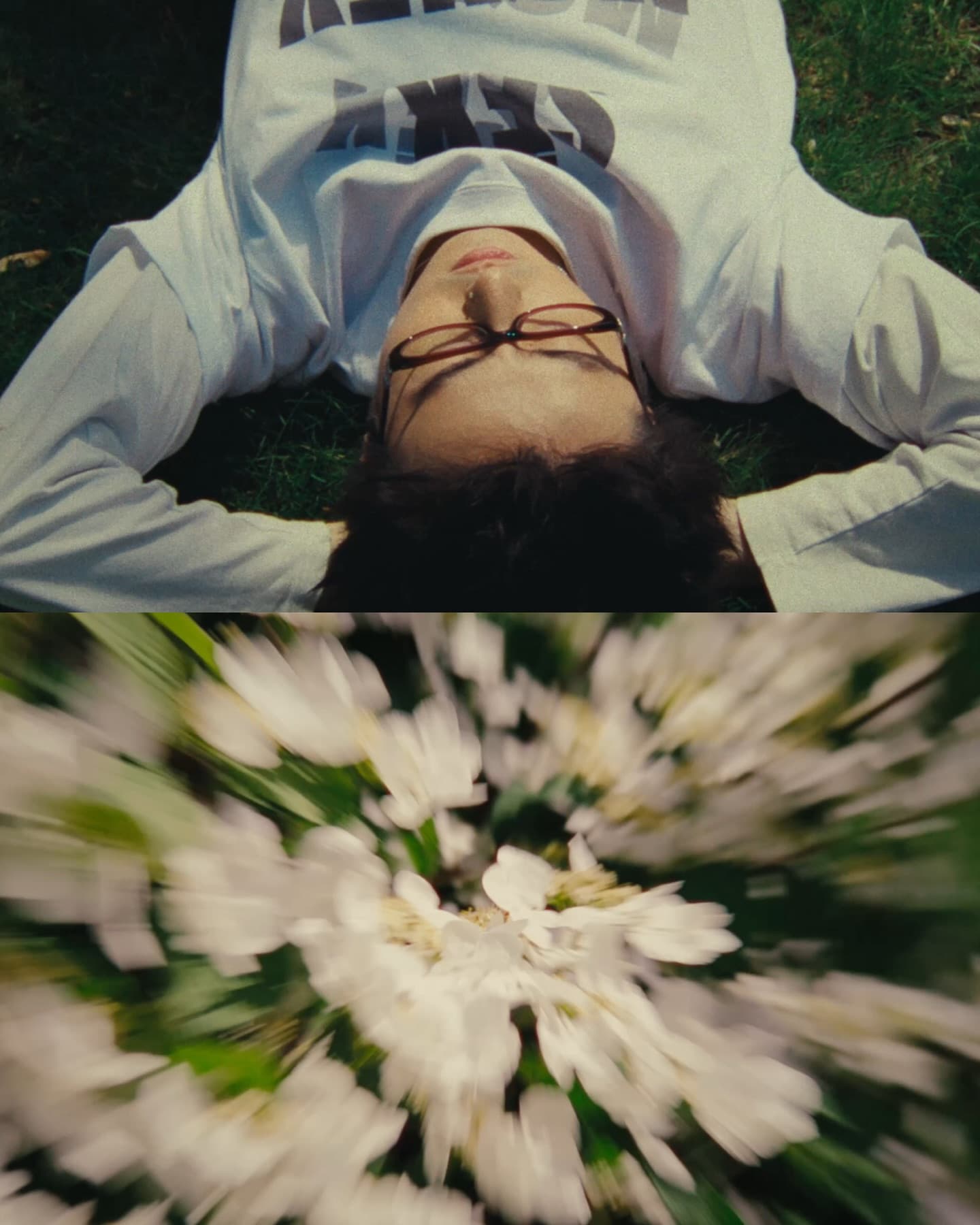 Pollen Allergy