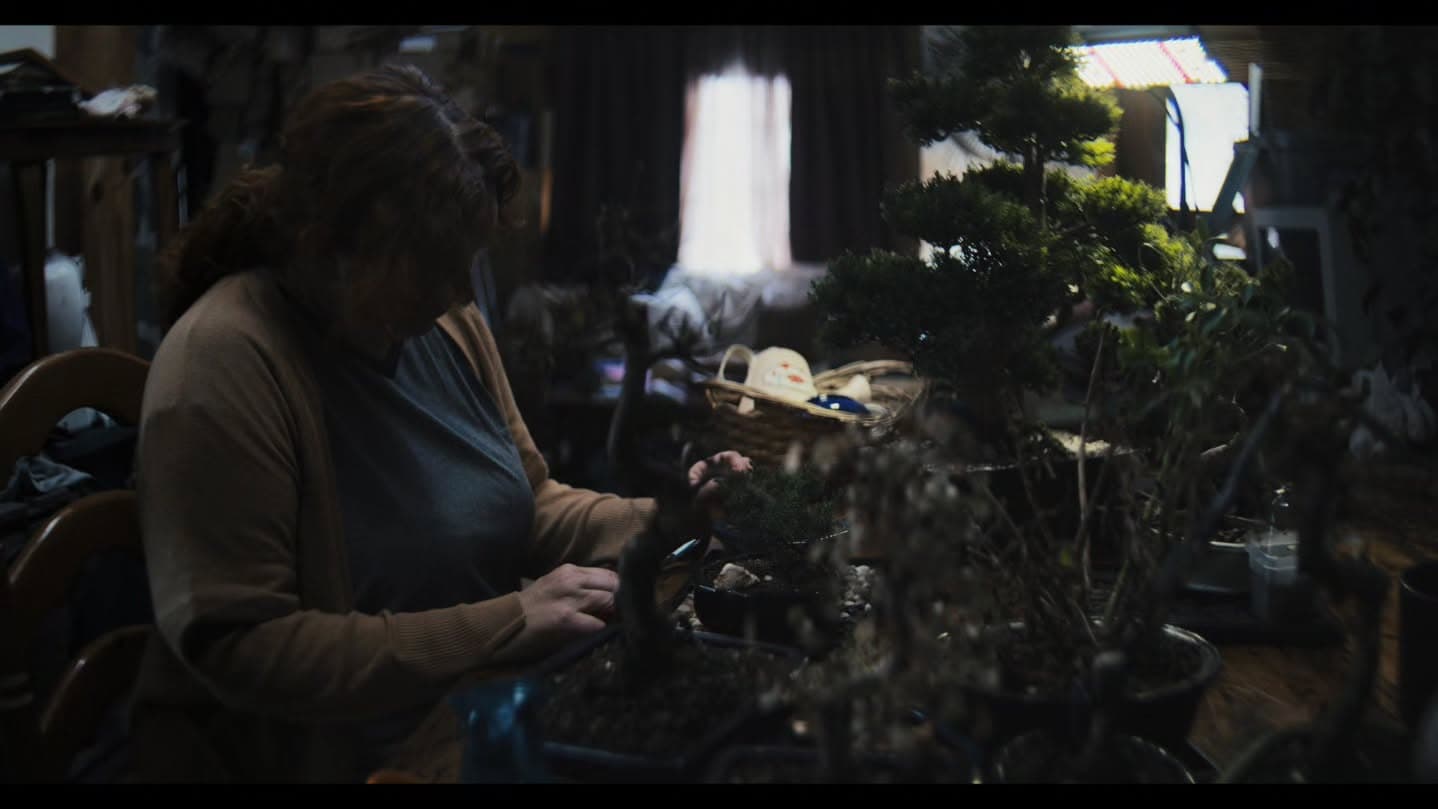 The Bonsai