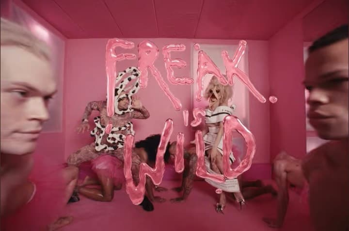 Freak Is Wild