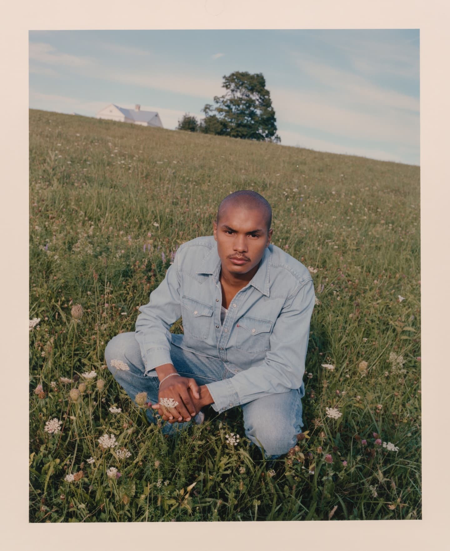 Levis Spring